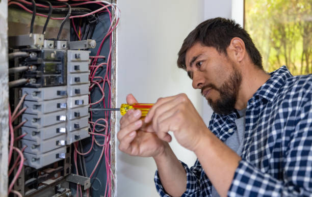 Best Electric Panel Repair  in South Hill, NY